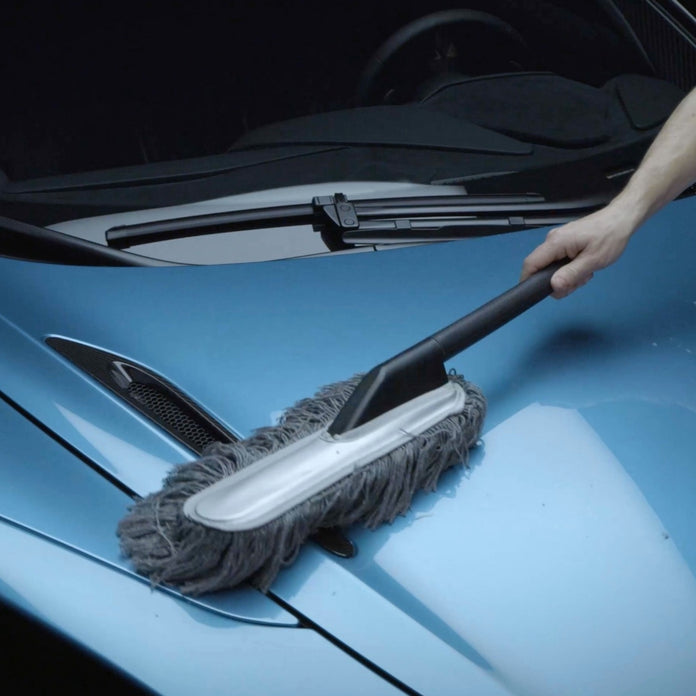 CAR DUSTER pluf de pene mare / mic / set